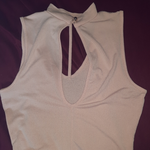 Pink Sheer Bodysuit - Picture 2 of 3